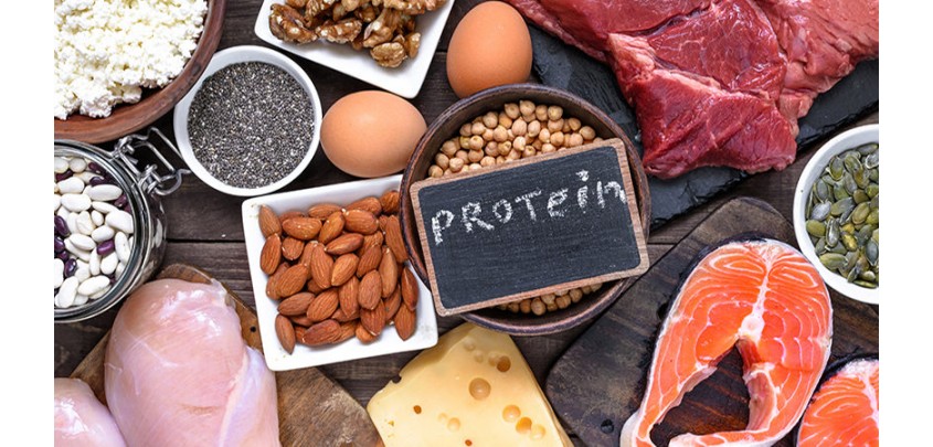 L ’importanza delle proteine per stare bene